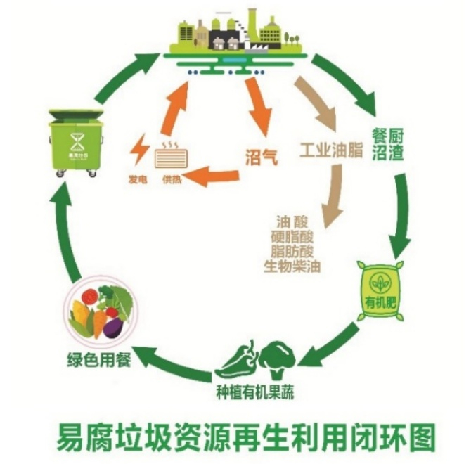 集中處置 重慶餐廚垃圾全量資源利用這樣做！